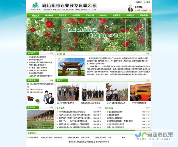 廊坊网络公司：专业技术团队，提供全方位网络解决方案
