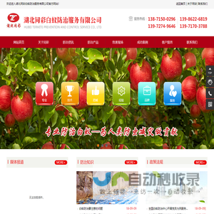 湖北同彩白蚁防治服务有限公司